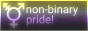 Animated Button saying 'non-binary pride!'